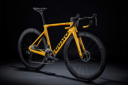 Gusto COBRA EVO DB SPORT TE (Team Edition) 2026