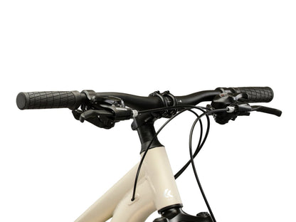 Kross Lea X200 29 Silver 2026