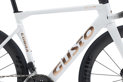 Gusto COBRA EVO DB PRO TE (Team Edition) 2026 Ultegra Di2